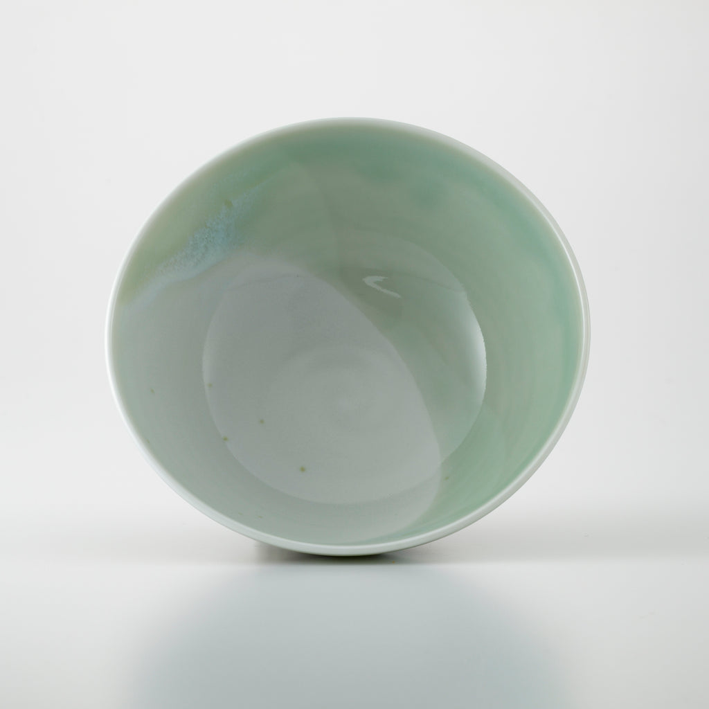 Haiyu Mike Chawan Rice Bowl